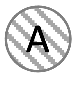 Anfänger